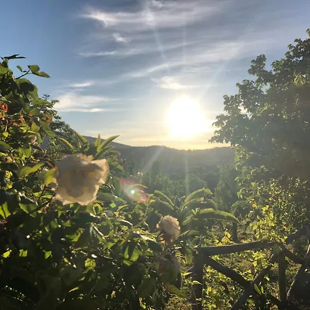 Deluxe “la Del Borgo” 3*